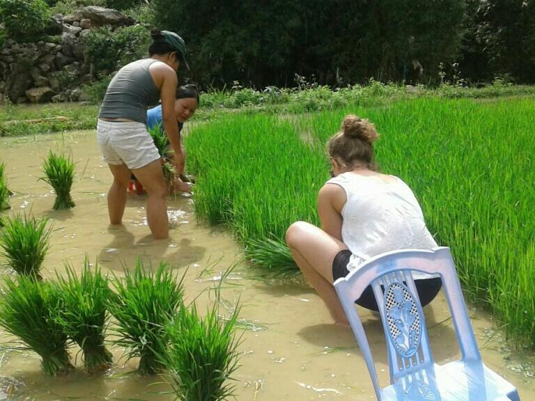 Yen Nhi Homestay Ban Gioc 高平 外观 照片